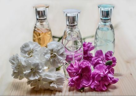 Parfum im Lifestyle-Blog